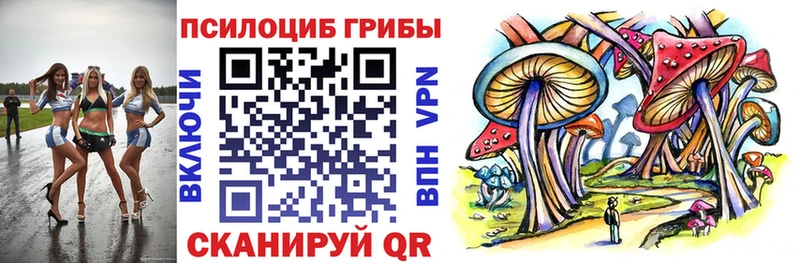 Галлюциногенные грибы MAGIC MUSHROOMS  Купить  Нариманов 